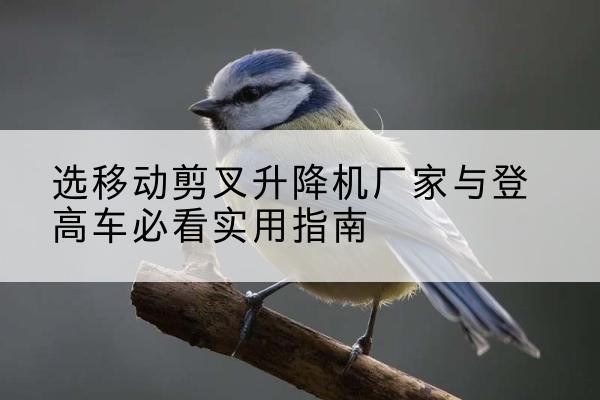 徐闻电动升降机厂家-选移动剪叉升降机厂家与登高车必看实用指南