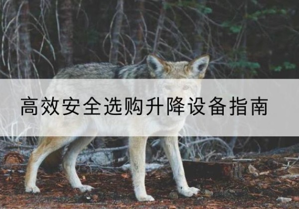 徐闻升降货梯厂家推荐-*安全选购升降设备指南