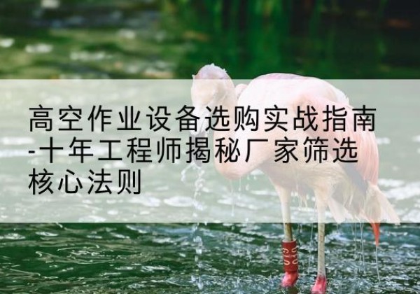 徐闻剪叉式升降机厂家-高空作业设备选购实战指南-十年工程师揭秘厂家筛选核心法则